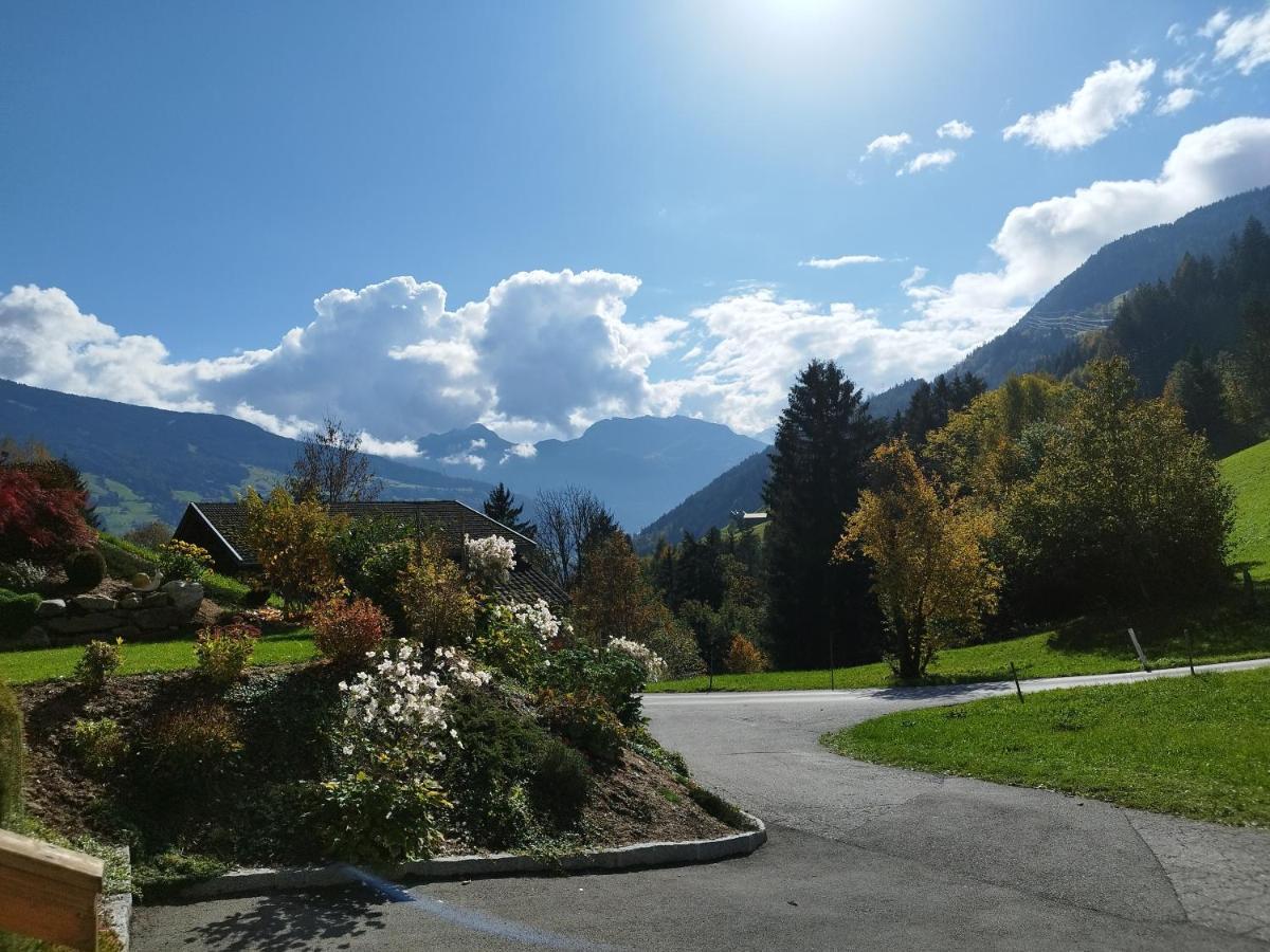 Apart Gerlossteinblick Aschau Im Zillertal 외부 사진