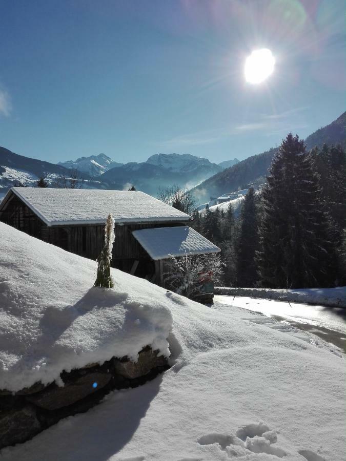 Apart Gerlossteinblick Aschau Im Zillertal 외부 사진
