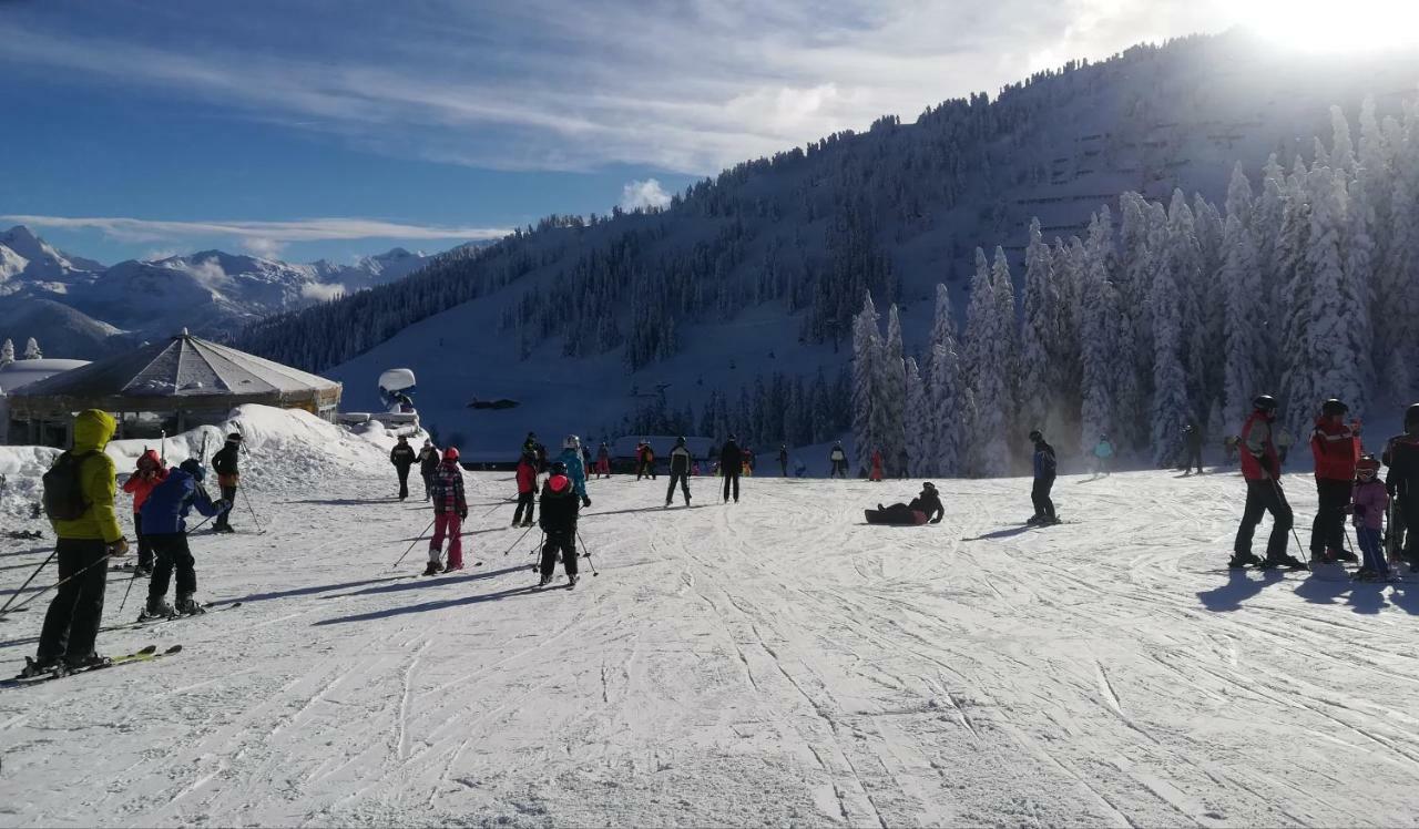 Apart Gerlossteinblick Aschau Im Zillertal 외부 사진