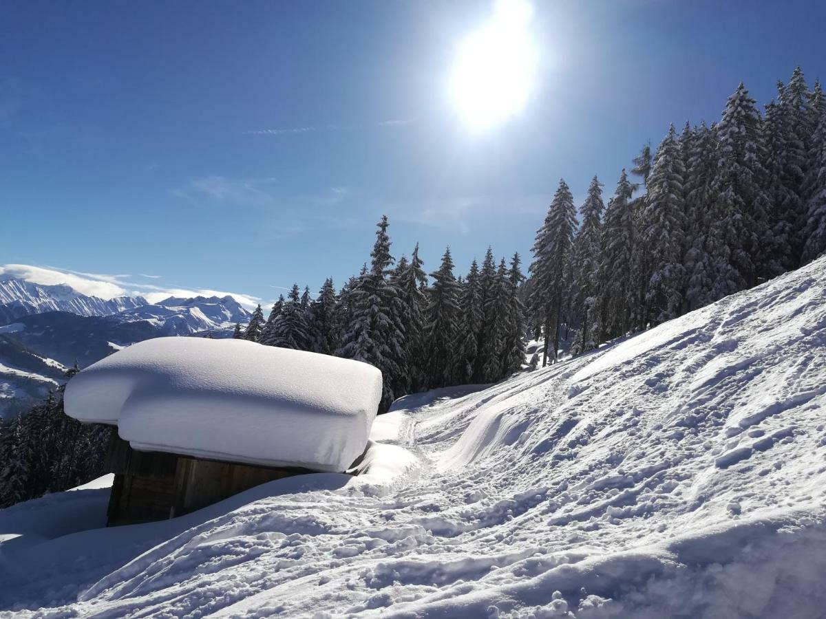 Apart Gerlossteinblick Aschau Im Zillertal 외부 사진